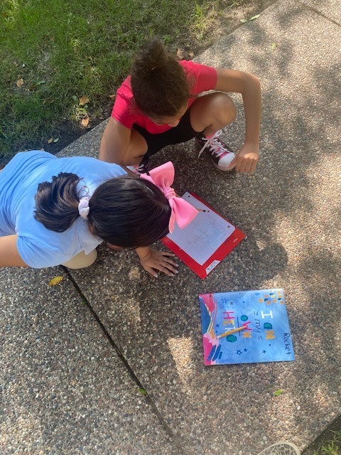 Students working together outside.
