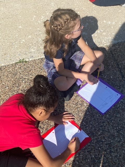 Students working together outside.